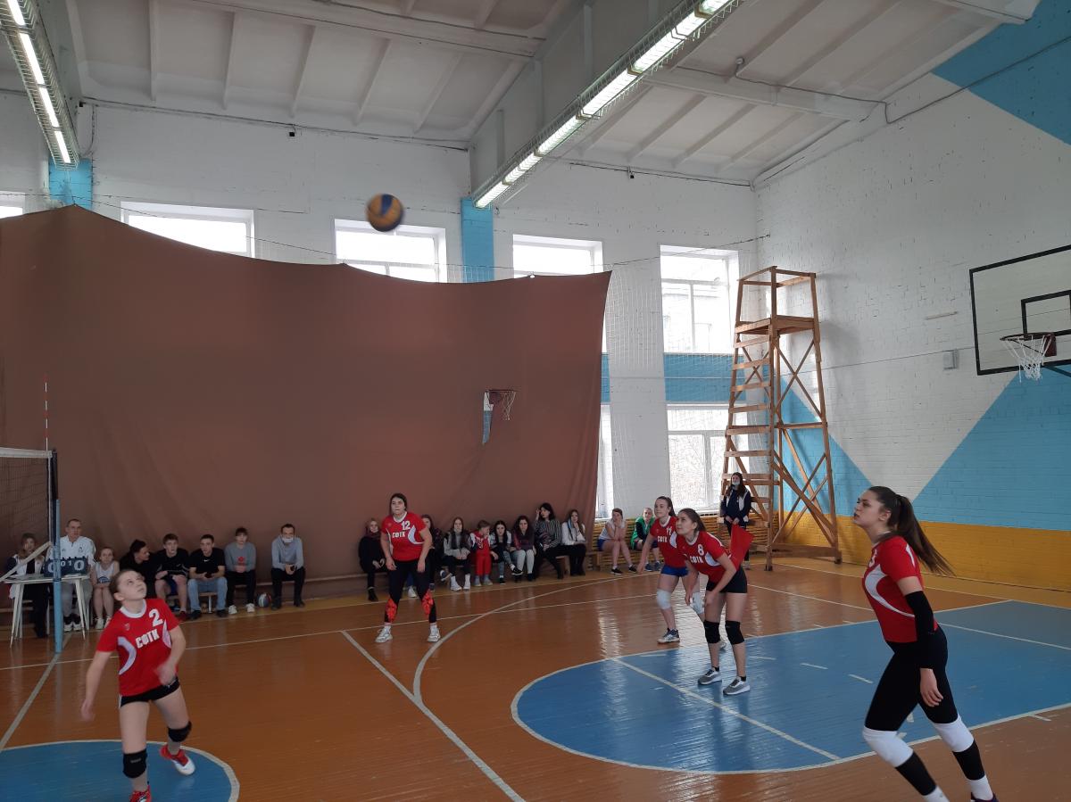 Областной турнир  по волейболу среди профессиональных образовательных организаций, посвященный Дню защитника Отечества Фото 3